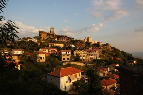 Image-1